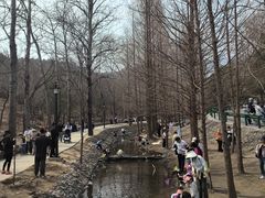 -白水寺森林公园