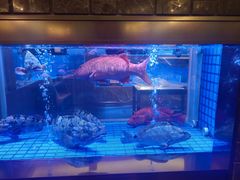 -協成海鮮火鍋(老店)