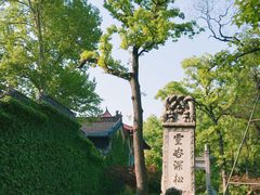 -灵谷景区
