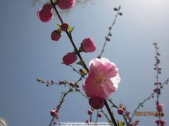 -夜小红炒虾尾(东大街店)