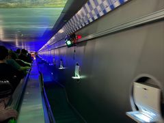 -白鹤梁水下博物馆