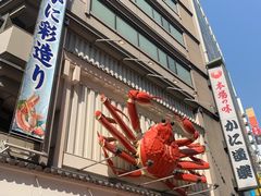 -蟹道乐(道顿堀本店)