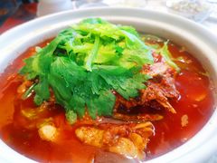 泉水鸡-先机泉水鸡汤(南山老君洞店)