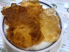 桃胶双皮奶-仁信老铺(华盖路店)