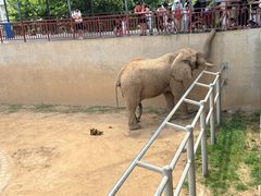 -西霞口神雕山野生动物世界