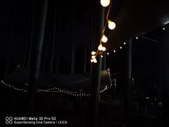 -桉树林A coffee 森林餐厅(三圣乡店)