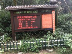 -天花井景区