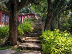 -青芝山风景名胜区