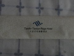 -天安瑞嘉酒店