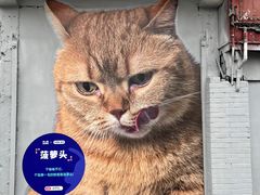 -方浜中路45弄小区