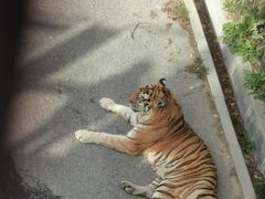 -大连森林动物园