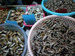 -有间冰室(侨港风情街店)