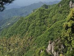 -王顺山国家森林公园