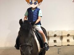 -李振强马术运动推广中心(南城店)