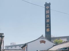 -茯茶镇