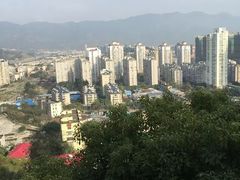 -金鸡山公园