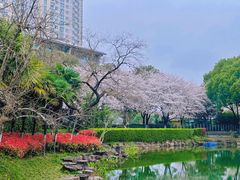 -昆山城市公园
