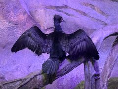 -波塞冬旅游度假区