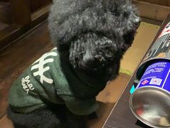 -春草居酒屋·晴子の店