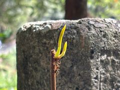 -天台山琼台仙谷景区