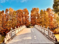 -上海海湾国家森林公园