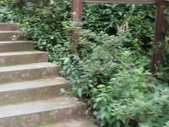 -宋宴(虎跑店)