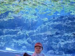 -海合安成都极地海洋公园