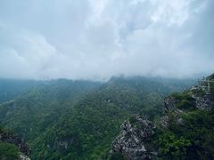 -牛背梁国家森林公园