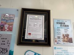 -美联众合动物医院·24h京西诊疗中心