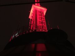 -339旋转餐厅(天府熊猫塔店)
