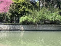 -杭州半山国家森林公园