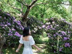 -名花谷生态庄园