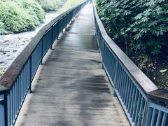 -阿哈湖国家湿地公园