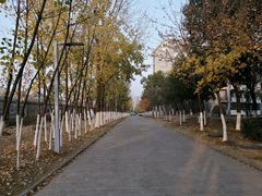 -安徽大学(磬苑校区)