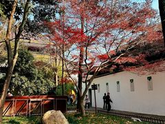 -西园戒幢律寺