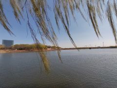 -大兴滨河森林公园