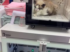 -FAELING PETS美天灵宠物(富力广场店)
