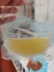 -复旦大学附属妇产科医院(杨浦院区)