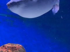 -南昌融创海世界
