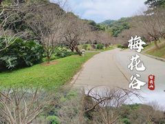 -广州市白云山风景名胜区