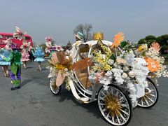 -荷兰花海