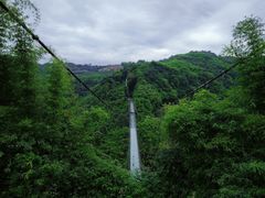 -川西竹海景区