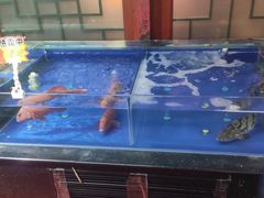 -有喜胶东小馆(太申祥和店)