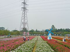 -盈香心动乐园