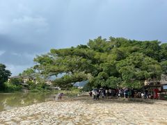 -云水谣景区