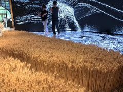 -荷兰布尔玛国际花艺学院