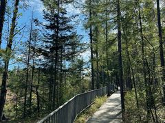 -峡谷浮石林景区