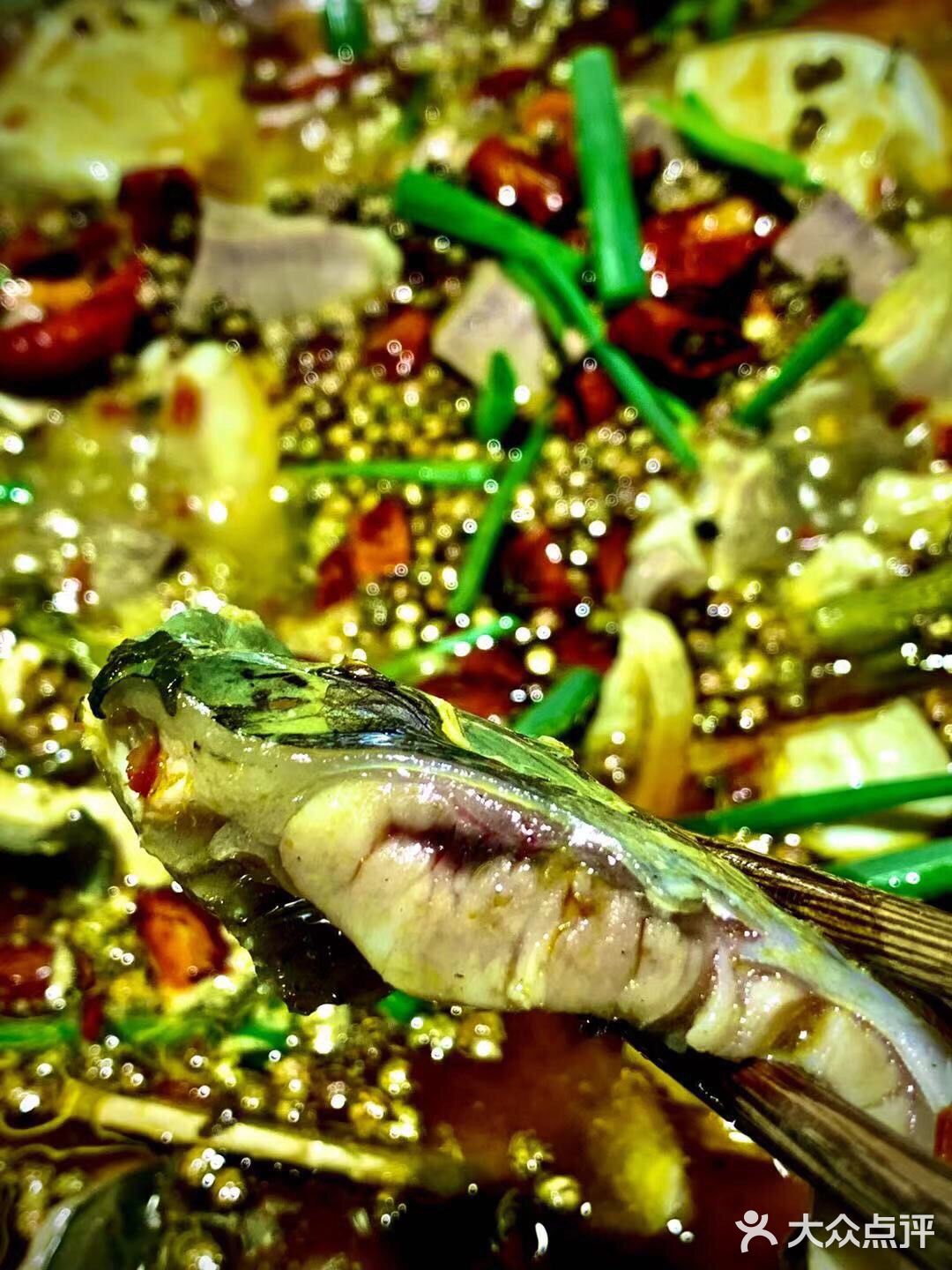 超梦幻🉐️鱼火锅店，不麻不立。