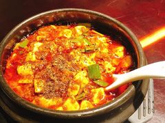 -陈麻婆豆腐总店