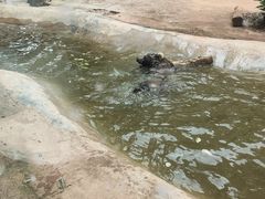 -昆明动物园